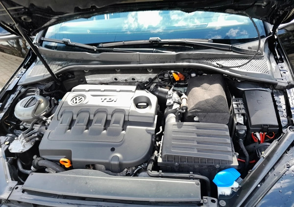 Volkswagen Golf cena 37700 przebieg: 211000, rok produkcji 2013 z Terespol małe 301